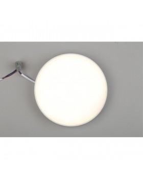 Светильник настенно-потолочныйAploytAPL.0113.09.24-foto6