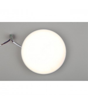 Светильник настенно-потолочныйAploytAPL.0113.09.24-foto6