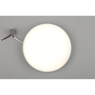 Светильник настенно-потолочныйAploytAPL.0113.09.24-foto6