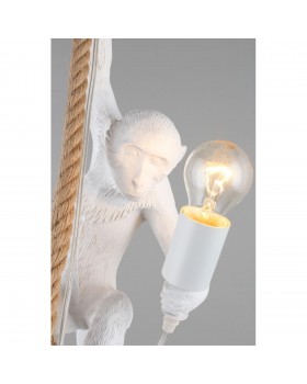 Светильник подвеснойAploytAPL.309.06.01-foto10