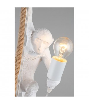 Светильник подвеснойAploytAPL.309.06.01-foto10