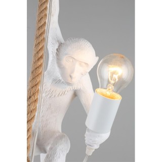 Светильник подвеснойAploytAPL.309.06.01-foto10