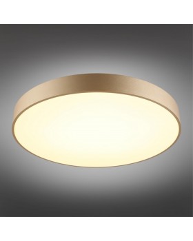 Светильник настенно-потолочныйAploytAPL.023.07.68-foto2