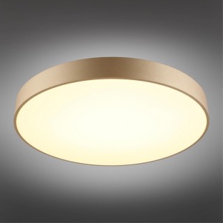 Светильник настенно-потолочныйAploytAPL.023.07.68-foto2