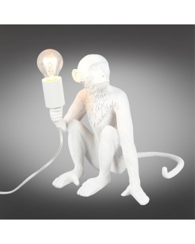 Настольная лампаAploytAPL.309.14.01-foto2