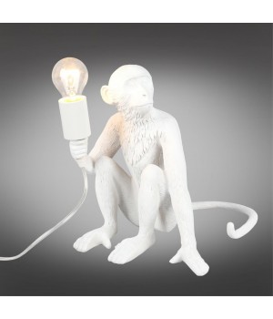 Настольная лампаAploytAPL.309.14.01-foto2