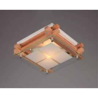 Светильник настенно-потолочныйOmniluxOML-40517-02-foto2