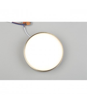 Светильник настенно-потолочныйAploytAPL.0113.29.18-foto7