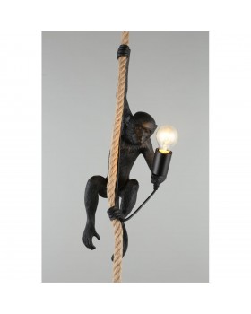 Светильник подвеснойAploytAPL.309.16.01-foto14