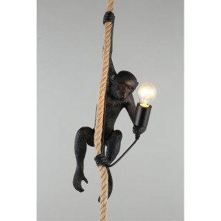 Светильник подвеснойAploytAPL.309.16.01-foto14