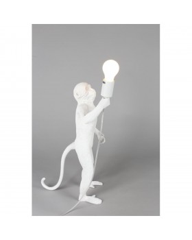 Настольная лампаAploytAPL.309.04.01-foto11