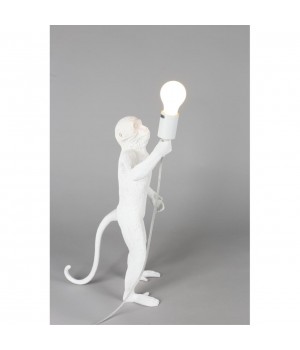 Настольная лампаAploytAPL.309.04.01-foto11