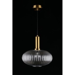 Светильник подвеснойAploytAPL.311.06.01-foto6