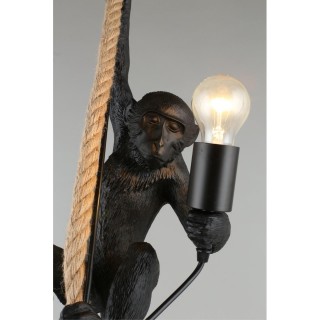 Светильник подвеснойAploytAPL.309.16.01-foto12