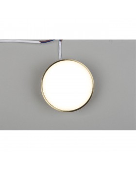 Светильник настенно-потолочныйAploytAPL.0114.29.12-foto4