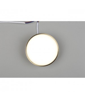 Светильник настенно-потолочныйAploytAPL.0114.29.12-foto4