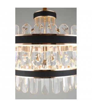 Люстра подвесная Aployt APL.027.03.158-foto10