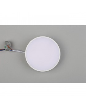 Светильник настенно-потолочныйAploytAPL.0113.09.12-foto6