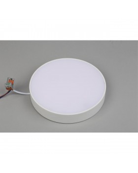 Светильник настенно-потолочныйAploytAPL.0114.09.24-foto4