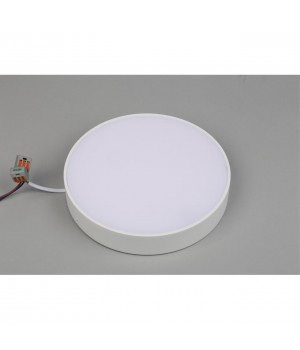 Светильник настенно-потолочныйAploytAPL.0114.09.24-foto4