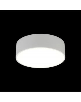 Светильник настенно-потолочныйAploytAPL.0114.09.12-foto8