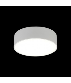 Светильник настенно-потолочныйAploytAPL.0114.09.12-foto8