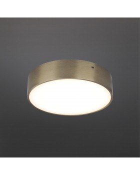 Светильник настенно-потолочныйAploytAPL.0113.29.18-foto2