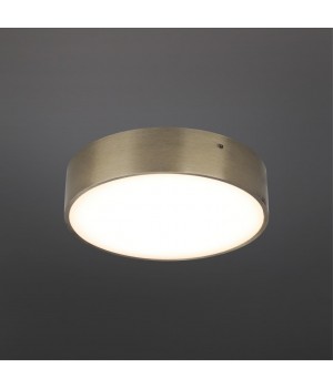 Светильник настенно-потолочныйAploytAPL.0113.29.18-foto2