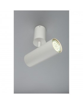 Светильник настенно-потолочныйAploytAPL.007.02.01-foto5