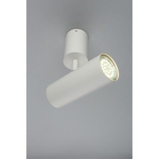 Светильник настенно-потолочныйAploytAPL.007.02.01-foto5