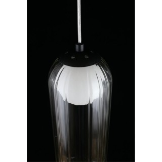 Светильник подвесной Aployt APL.325.16.01-foto6