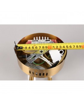 Светильник настенный (Бра)AploytAPL.010.01.16-foto3