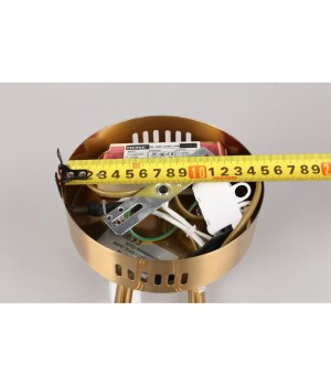 Светильник настенный (Бра)AploytAPL.010.01.16-foto3