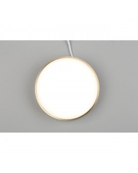 Светильник настенно-потолочныйAploytAPL.0114.29.18-foto7