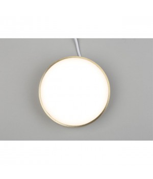 Светильник настенно-потолочныйAploytAPL.0114.29.18-foto7