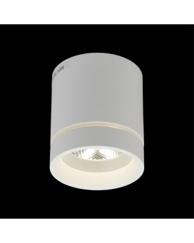 Светильник встраиваемый-накладнойAploytAPL.0044.09.05-foto7