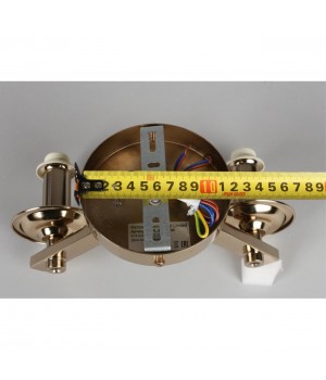 Светильник настенный (Бра)AploytAPL.842.11.02-foto4