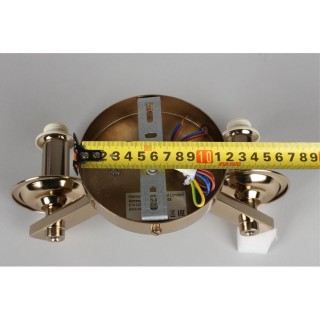 Светильник настенный (Бра)AploytAPL.842.11.02-foto4