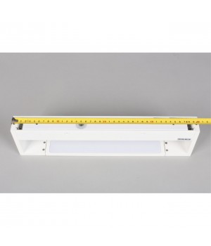 Светильник настенный (Бра)AploytAPL.013.01.10-foto3