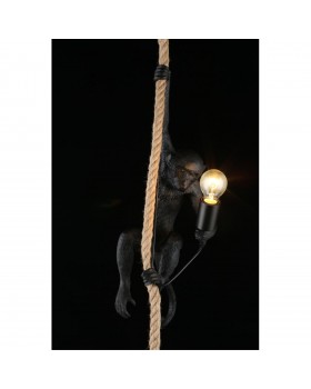 Светильник подвеснойAploytAPL.309.16.01-foto8