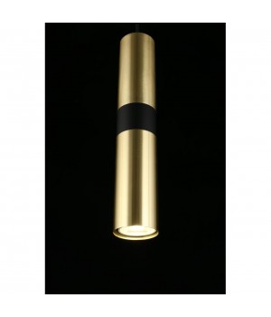 Светильник подвеснойAploytAPL.607.16.01-foto6