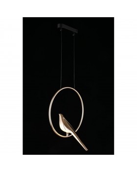 Светильник подвеснойAploytAPL.822.06.10-foto7