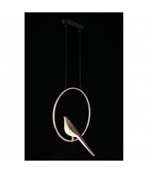 Светильник подвеснойAploytAPL.822.06.10-foto7