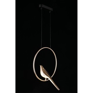 Светильник подвеснойAploytAPL.822.06.10-foto7