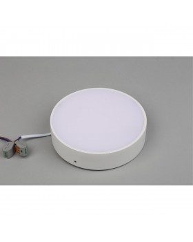 Светильник настенно-потолочныйAploytAPL.0113.09.18-foto3