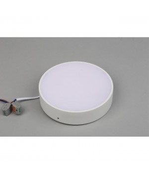 Светильник настенно-потолочныйAploytAPL.0113.09.18-foto3