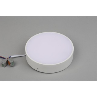 Светильник настенно-потолочныйAploytAPL.0113.09.18-foto3