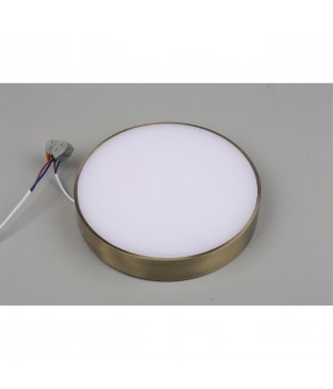 Светильник настенно-потолочныйAploytAPL.0113.29.24-foto4