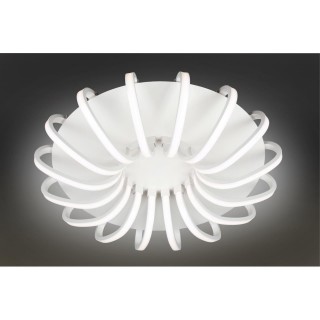 Люстра потолочная Omnilux OML-48107-112-foto2