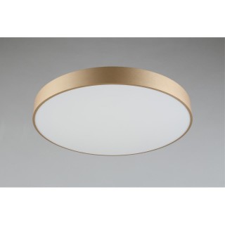 Светильник настенно-потолочныйAploytAPL.023.07.68-foto3